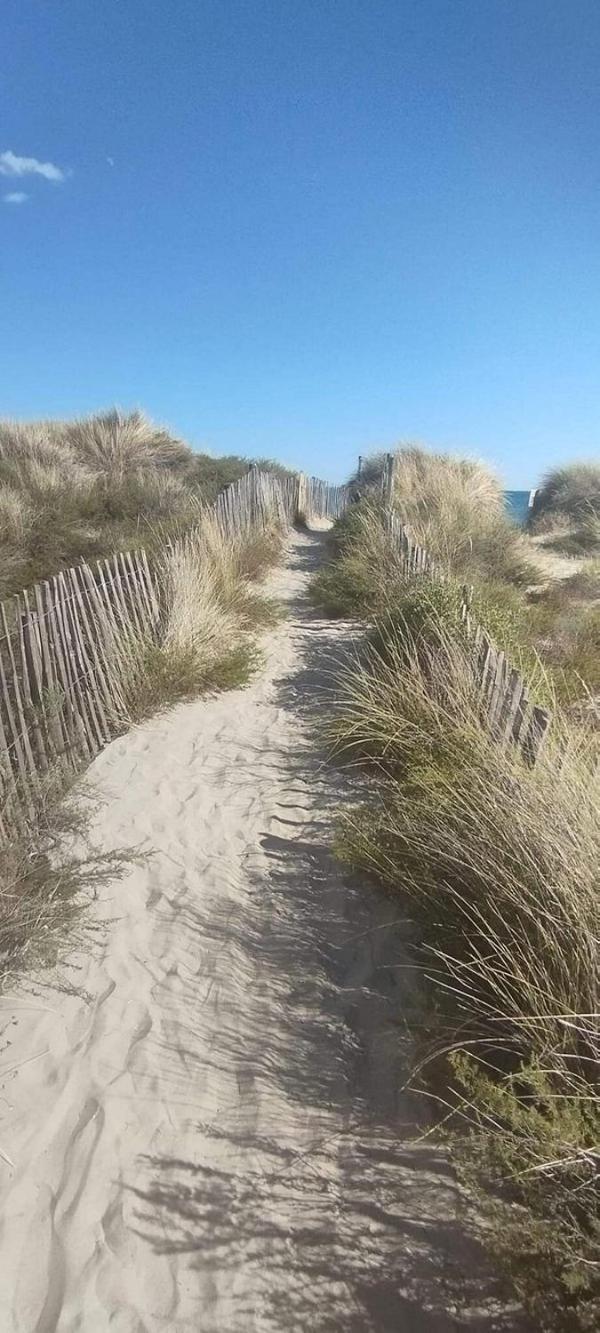 Vila La Bergerie Des Landes Lit-et-Mixe Exteriér fotografie